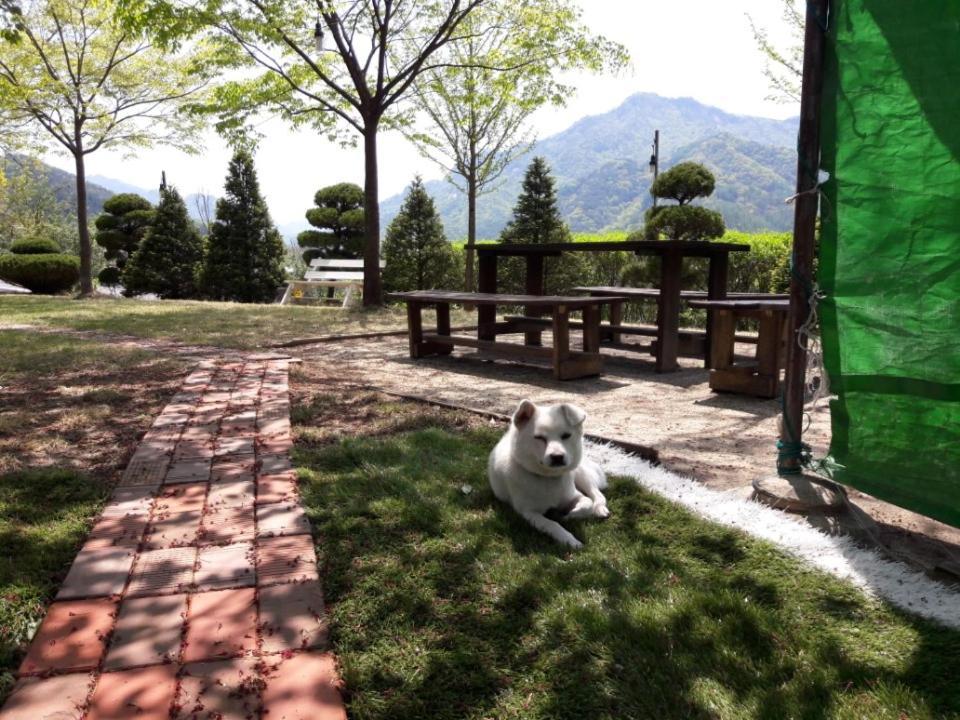 Chamjoeun Pension Chech'ŏn Exterior foto