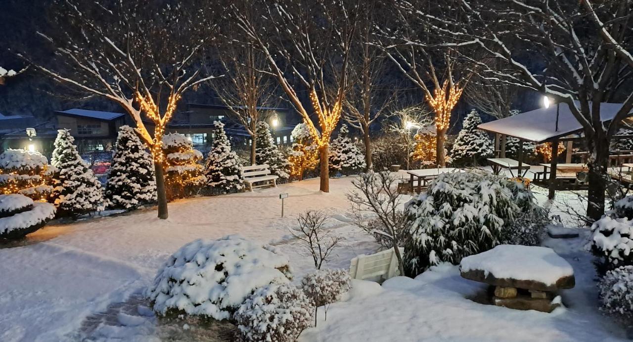 Chamjoeun Pension Chech'ŏn Exterior foto