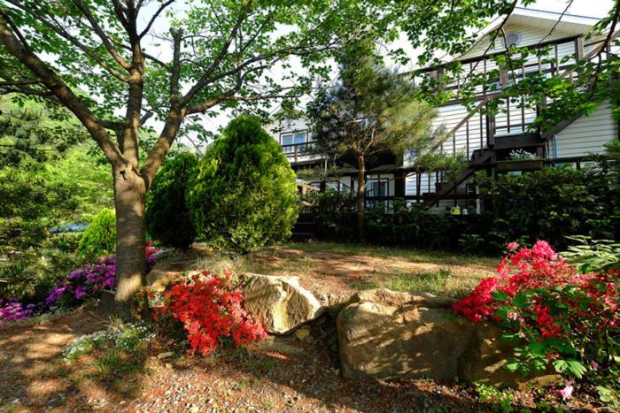 Chamjoeun Pension Chech'ŏn Exterior foto